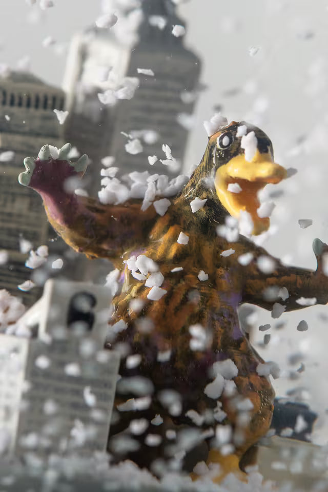 WIPTOPIA SNOW GLOBE MULTICOLOR