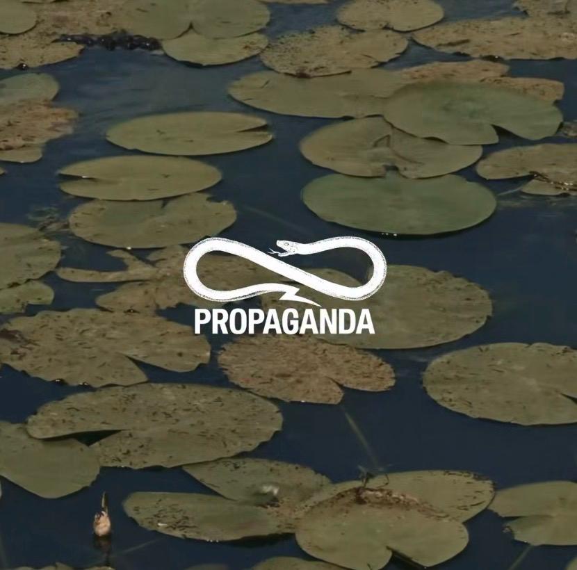 PROPAGANDA