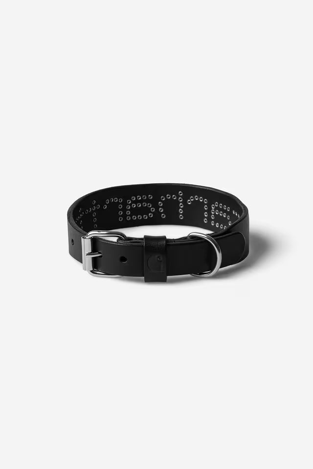 CARHARTT WIP SCRIPT STUDS DOG COLLAR BLACK