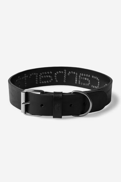 CARHARTT WIP SCRIPT STUDS DOG COLLAR BLACK