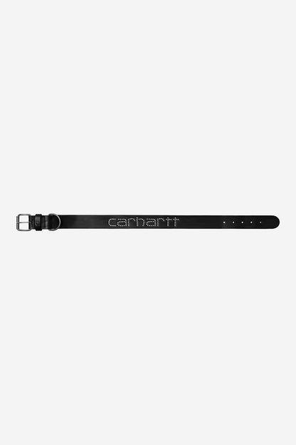CARHARTT WIP SCRIPT STUDS DOG COLLAR BLACK